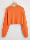 BASICS Drop Shoulder Solid Crop Pullover