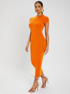 SXY Solid Round Neck Bodycon Dress