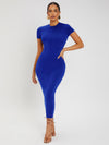SXY Solid Round Neck Bodycon Dress