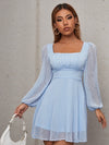 Ruched Bust Lantern Sleeve Swiss Dot Dress