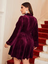 Plus Mock Neck Shirred Waist Lantern Sleeve Velvet Dress