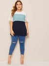 Plus Laser Cut Scalloped Trim Colorblock Blouse