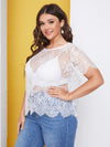 Plus Scallop Trim Eyelash Lace Top Without Bra