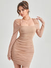 Frill Trim Gigot Sleeve Ruched Mesh Overlay Dress