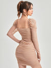 Frill Trim Gigot Sleeve Ruched Mesh Overlay Dress