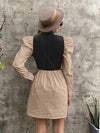 Mock Neck Gigot Sleeve Colorblock Dress