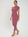 SXY Solid Round Neck Bodycon Dress