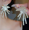 2pcs Fashionable Elegant Luxury Crystal Rhinestone Claw-Chain Sparkly Earring