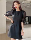Contrast Mesh Puff Sleeve Dress