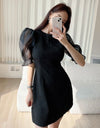 Contrast Mesh Puff Sleeve Dress