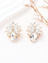 1pair Bowknot And Rhinestone Decor Earrings