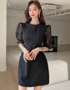 Contrast Mesh Puff Sleeve Dress