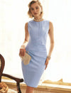 Elegant Solid Color Fitted Zipper Dress