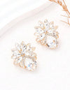 1pair Bowknot And Rhinestone Decor Earrings
