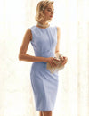 Elegant Solid Color Fitted Zipper Dress