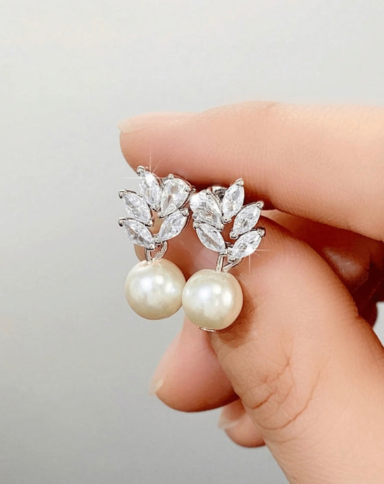 1 Pair Fashion Cubic Zirconia & Faux Pearl Stud Earrings For Women