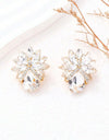 1pair Bowknot And Rhinestone Decor Earrings