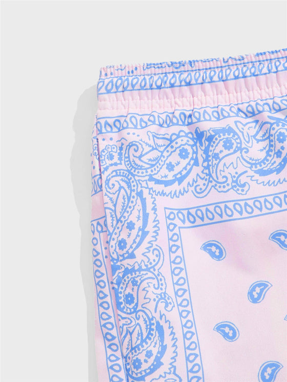 Men Drawstring Waist Paisley Print Shorts