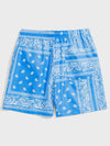 Men Drawstring Waist Paisley Print Shorts