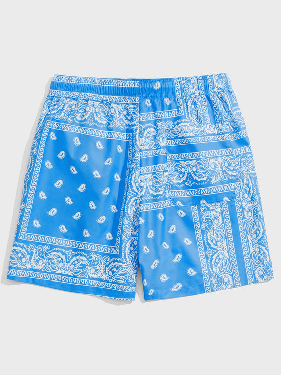 Men Drawstring Waist Paisley Print Shorts