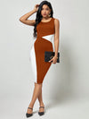 Clasi Color Block Bodycon Dress