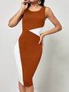 Clasi Color Block Bodycon Dress