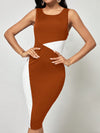 Clasi Color Block Bodycon Dress