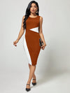 Clasi Color Block Bodycon Dress